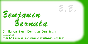 benjamin bernula business card